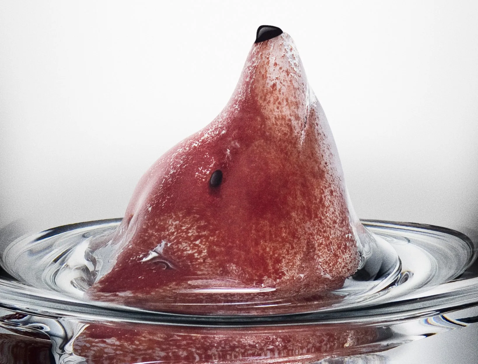 Szklanka New Friends 46 cl, Lis Kosta Boda