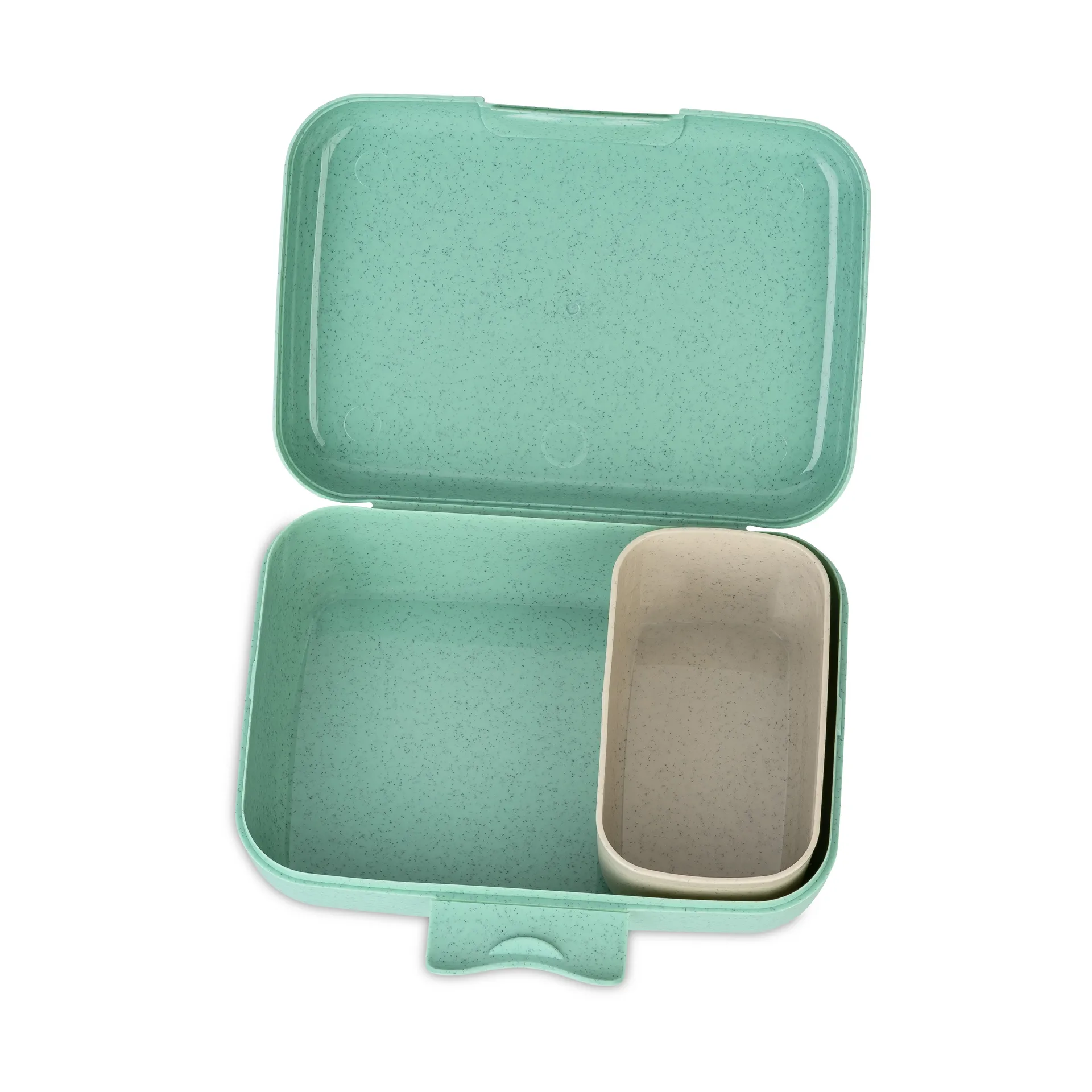 Candy pudełko do przechowywania L, Dinozaur Koziol