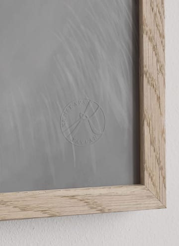 Plakat Lis Polarny - 30x40 cm - Kunskapstavlan®