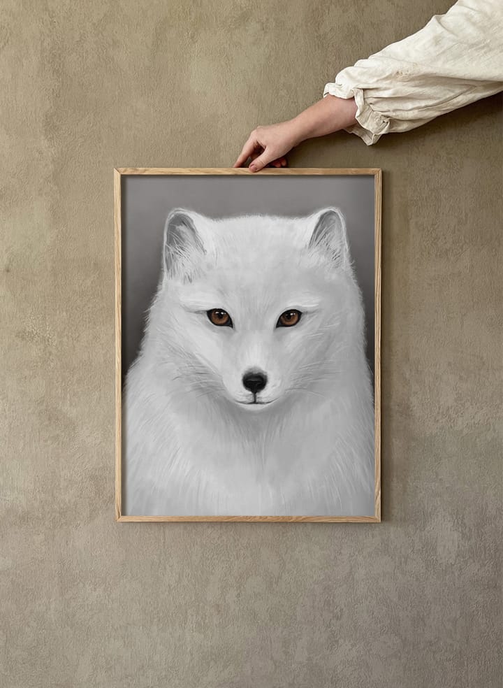 Plakat Lis Polarny, 30x40 cm Kunskapstavlan®