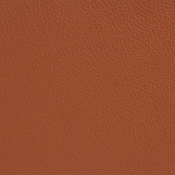 Fotel Sunny z podłokietnikami - Skóra Cognac – chromowany stelaż z kółkami - Lammhults