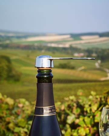 Otwieracz do korków szampańskich Pince á Bouchon  - Srebrny - L'Atelier du Vin