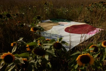 Sleeping Flower dywan wełniany - 250x350 cm - Layered