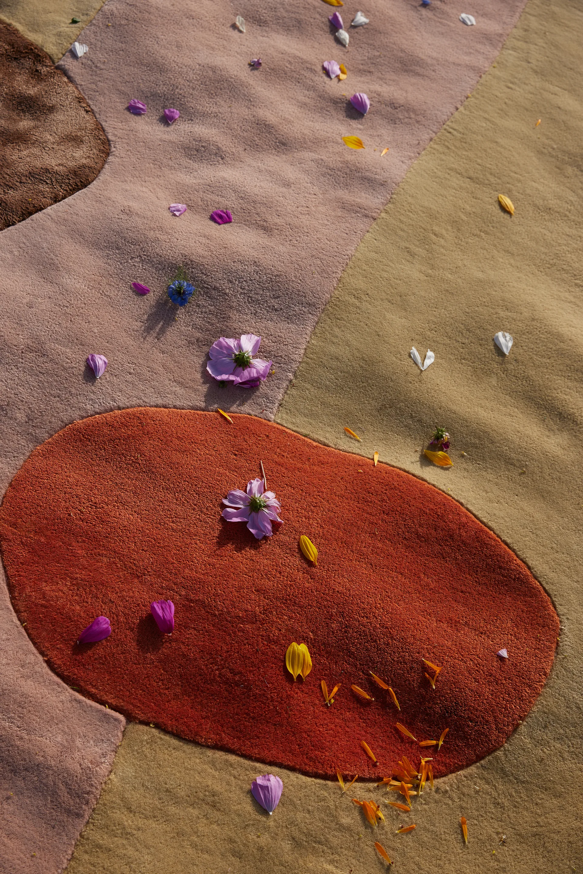 Wełniany dywan Magical Garden, 200x300 cm Layered