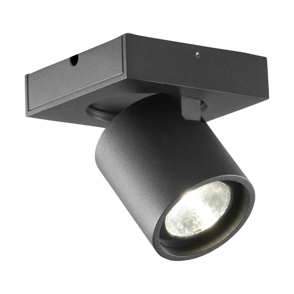 Lampa ścienno-sufitowa Focus 1 Switch Tune, Black Light-Point