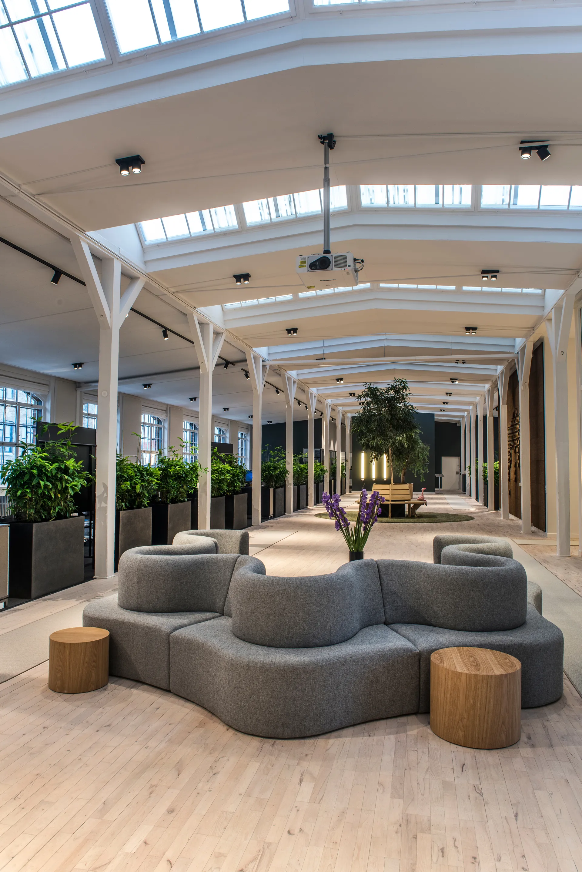 Lampa ścienno-sufitowa Focus 2 Switch Tune, Black Light-Point