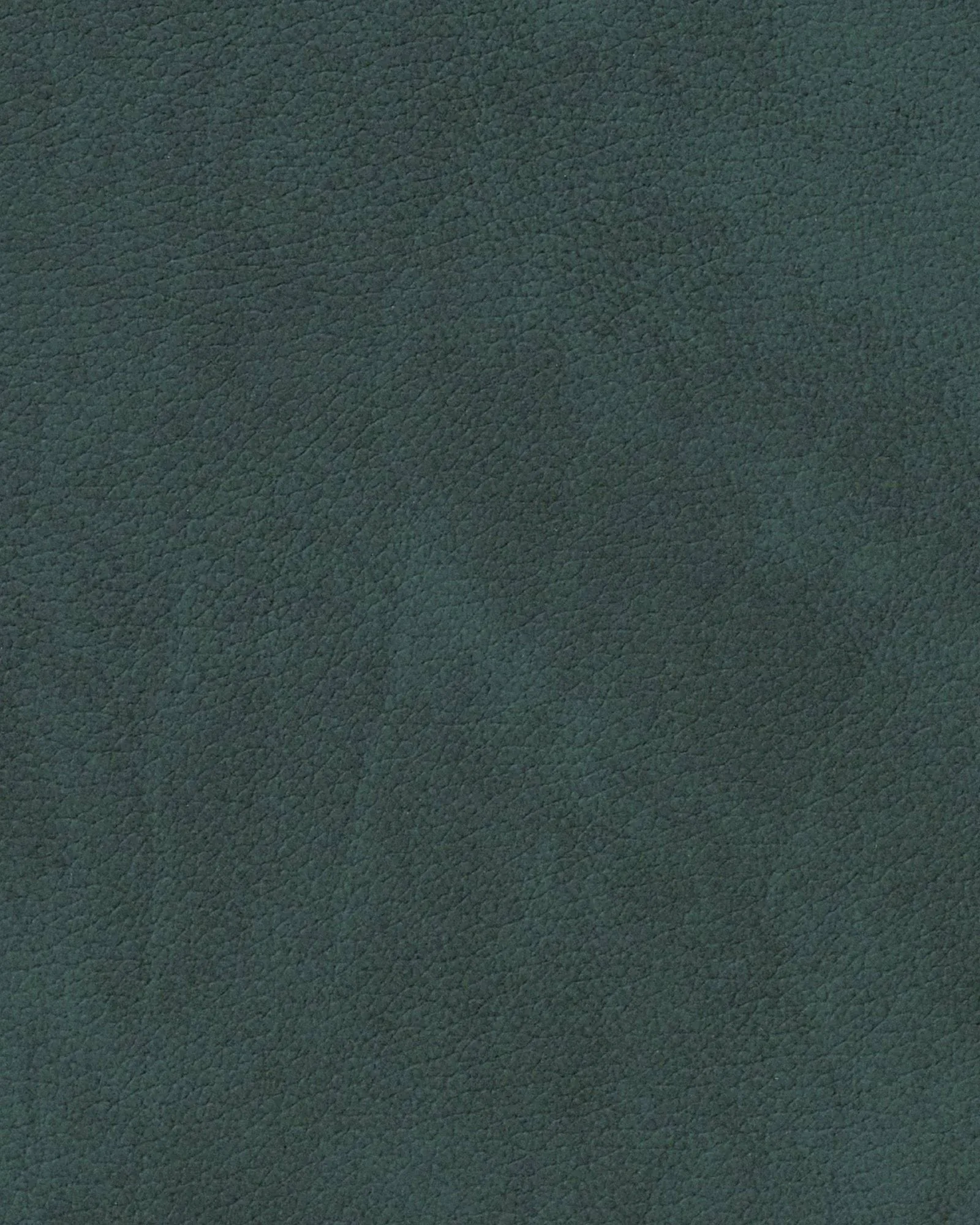 Zestaw podkładek na stół Nupo Curve, Dark Green, 6 szt., 44x37 cm LIND DNA