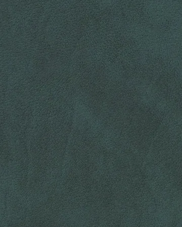 Zestaw podkładek na stół Nupo Curve - Dark Green, 6 szt., 44x37 cm - LIND DNA