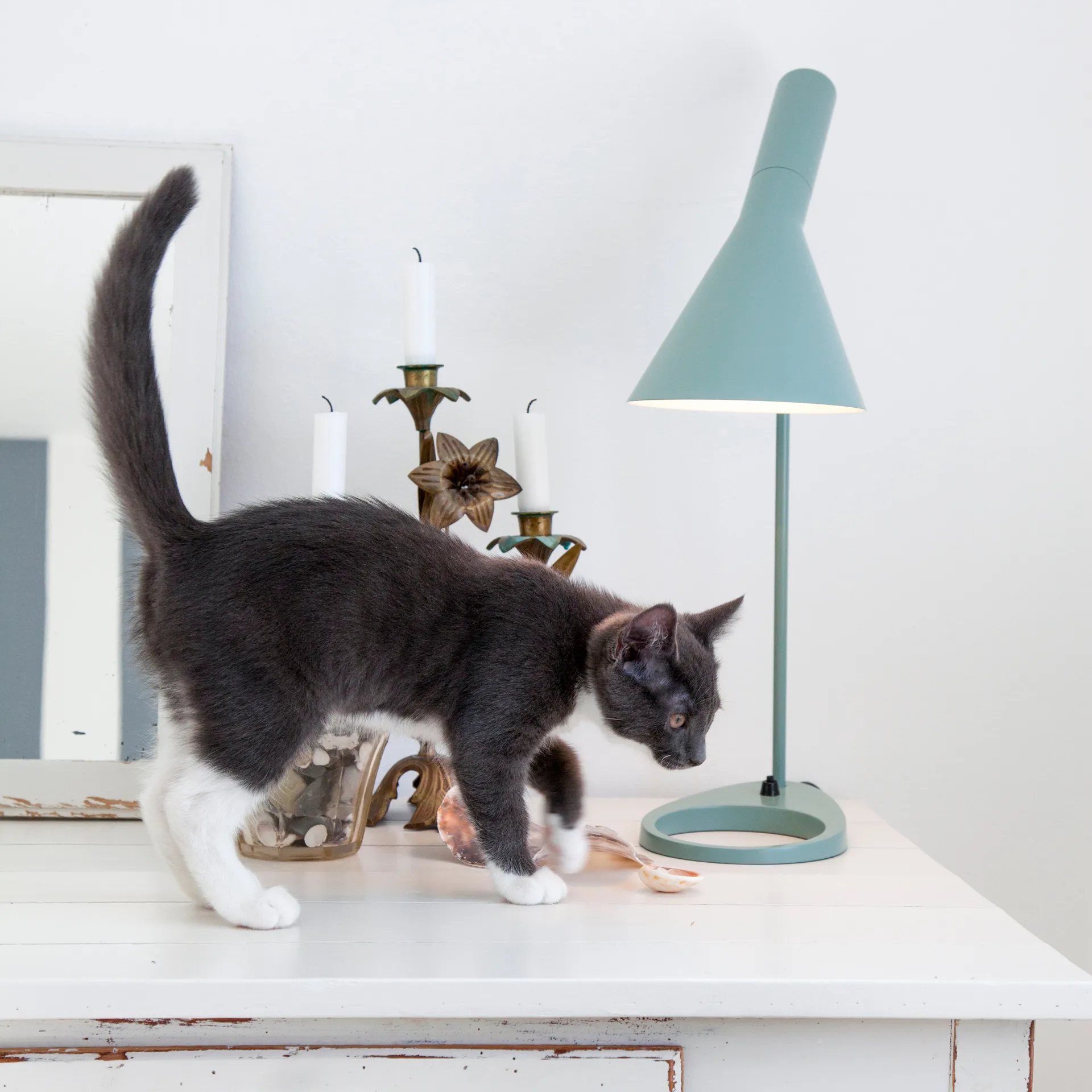 Lampa stołowa AJ, Jasny w kolorze ropy naftowej Louis Poulsen