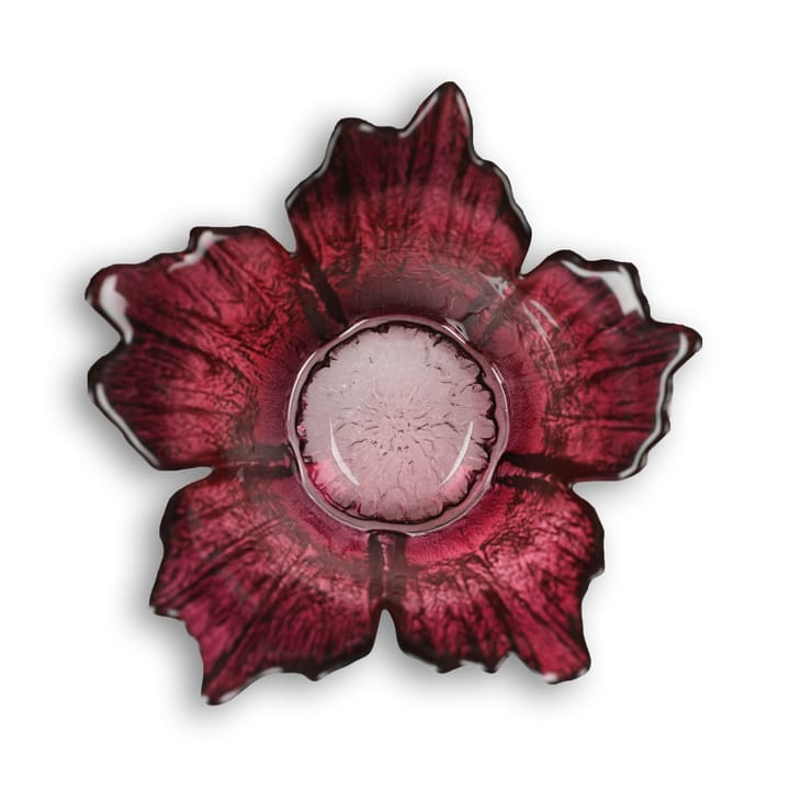 Lampion na świecę Fleur Ø14 cm, czerwony róż Målerås Glasbruk
