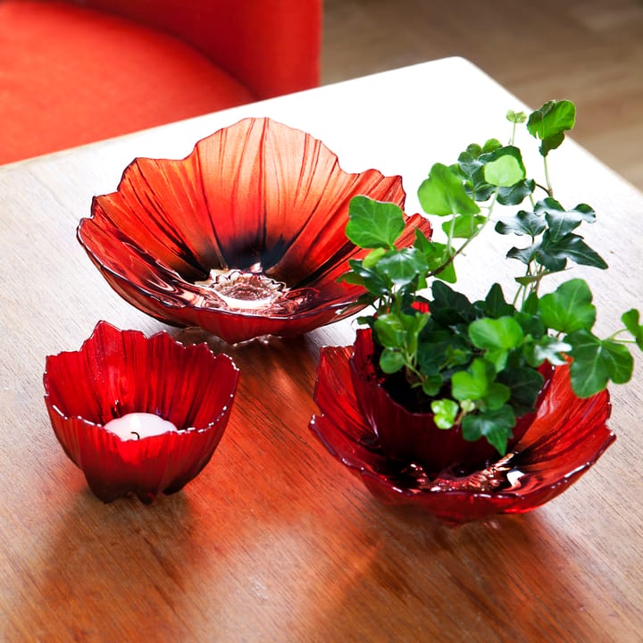 Miska średnia Poppy, Czerwono-czarny Målerås Glasbruk