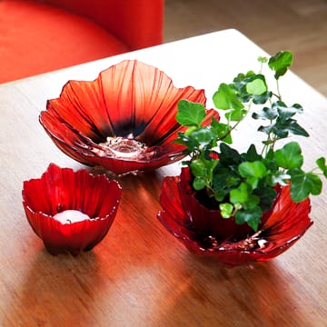 Miska średnia Poppy - Czerwono-czarny - Målerås Glasbruk