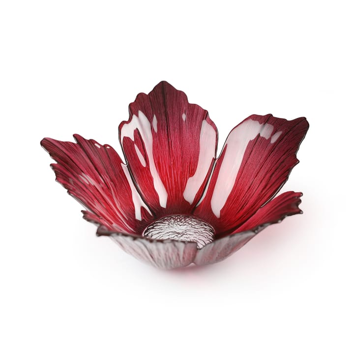 Miska szklana Fleur czerwona różowa - duży Ø23 cm - Målerås glasbruk
