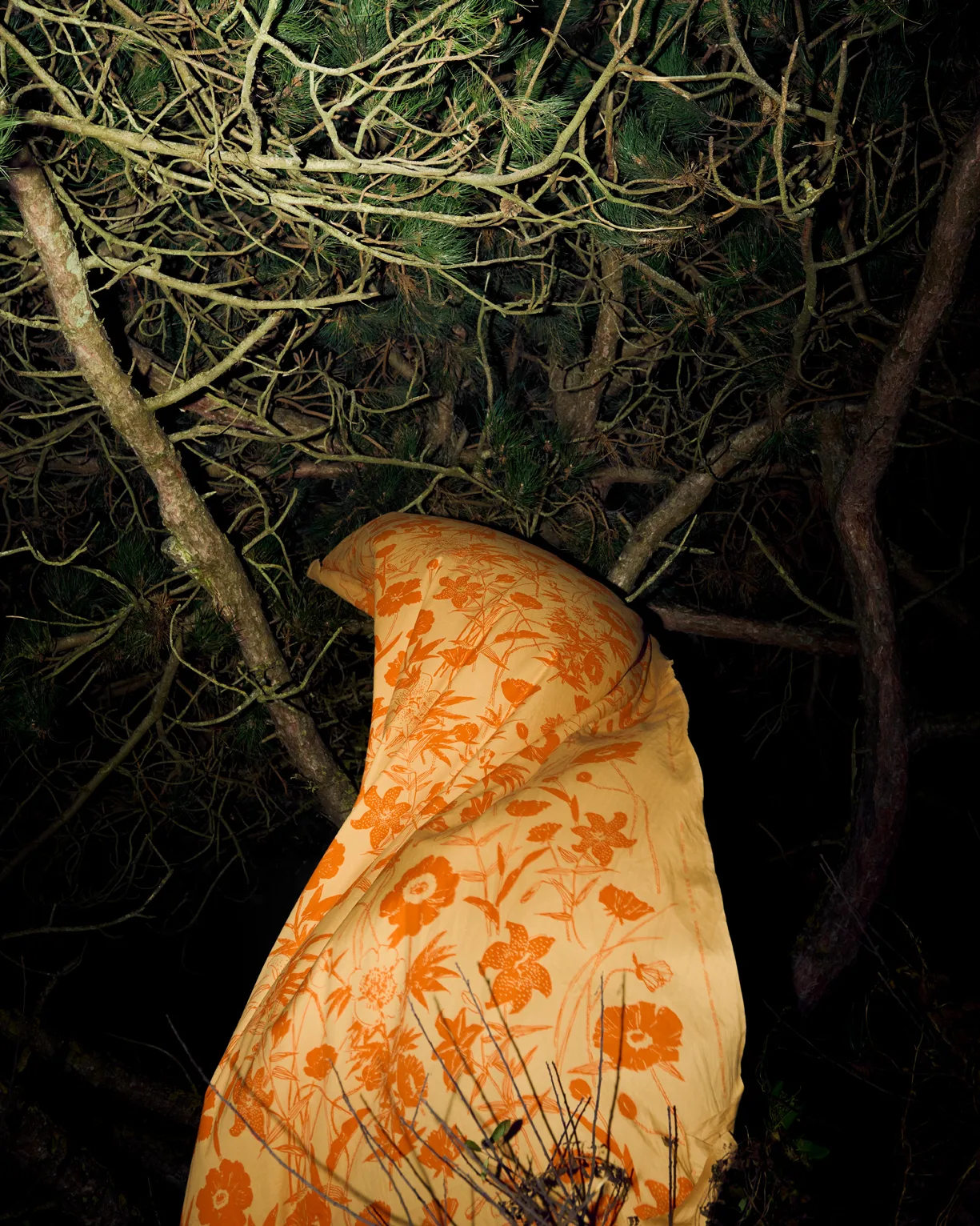 Tkanina bawełniana Perenna, Karmelowy-palony pomarańczowy Marimekko