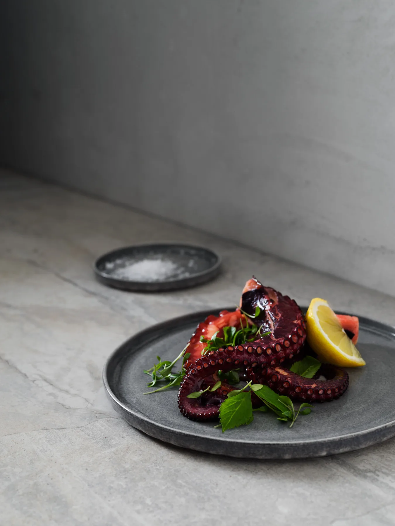 Talerz MSY 25 cm, Szary Mateus