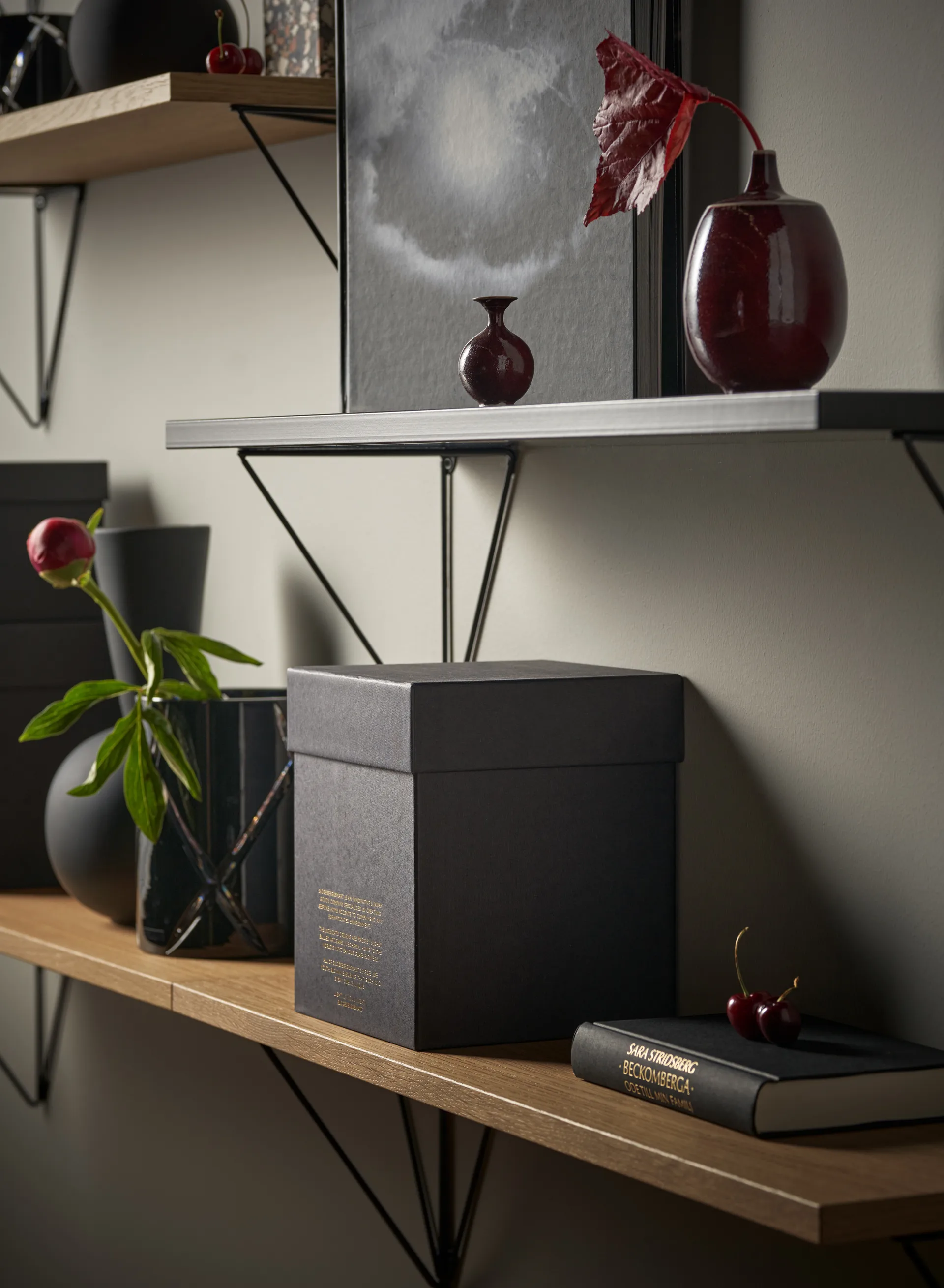 Półka Pythagoras, dąb Maze