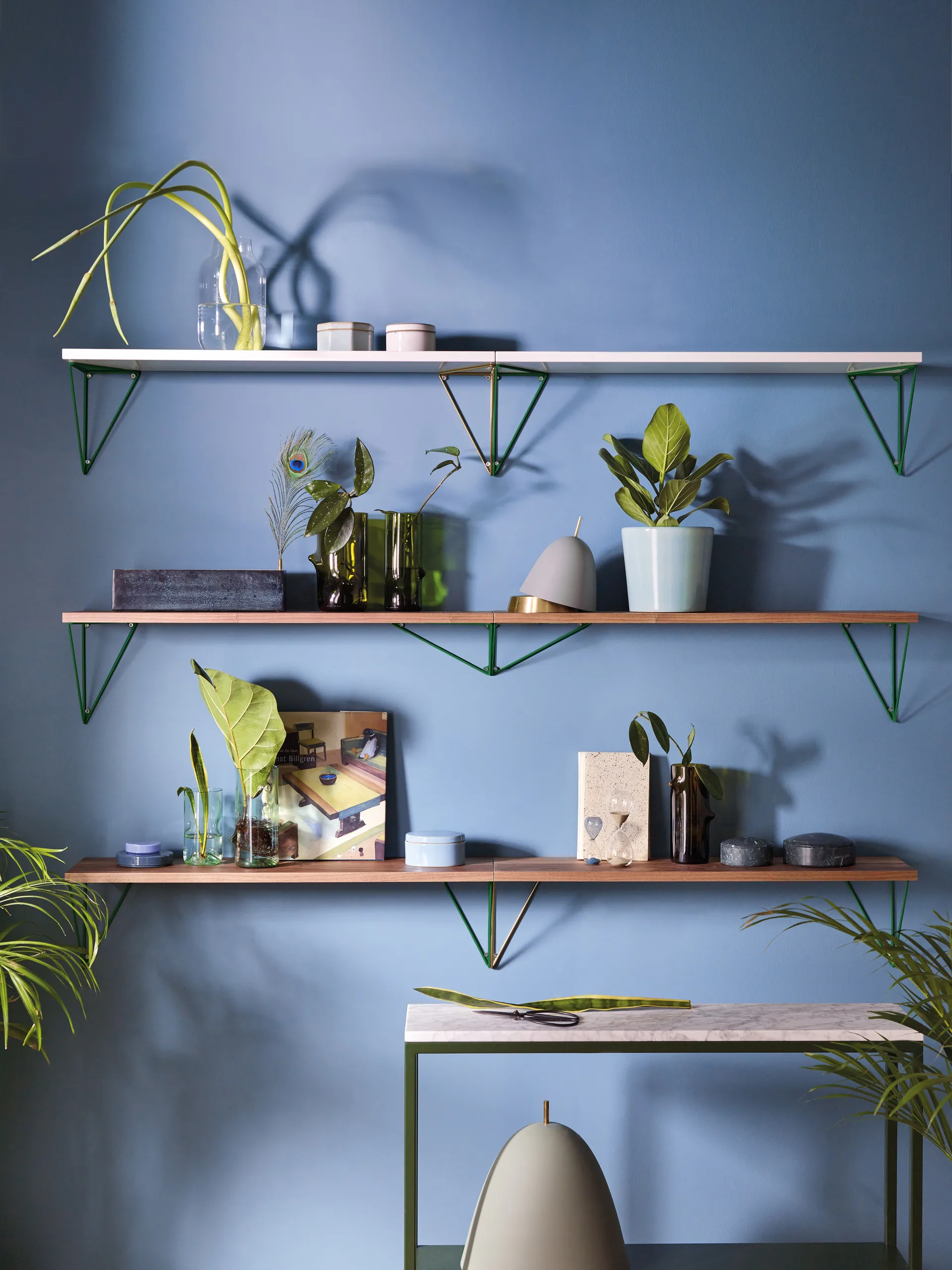 Półka Pythagoras, orzech włoski Maze