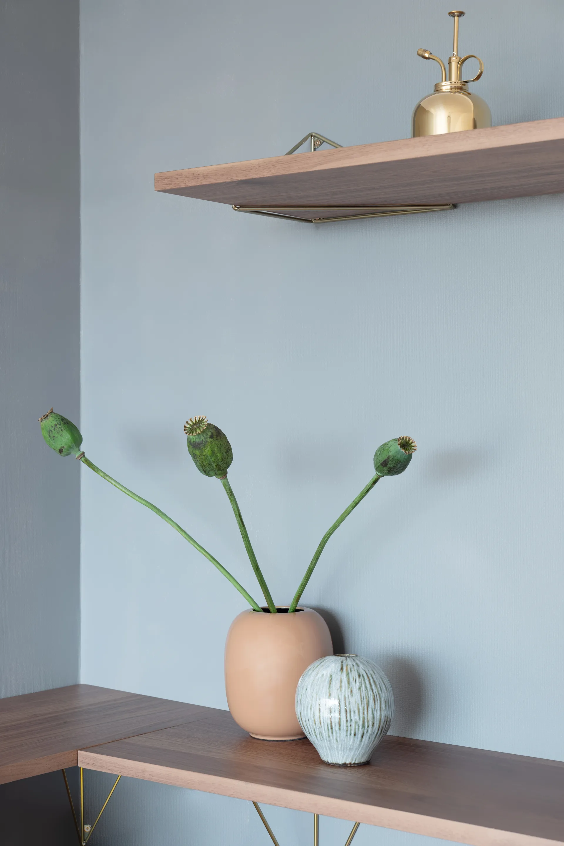 Półka Pythagoras, orzech włoski Maze