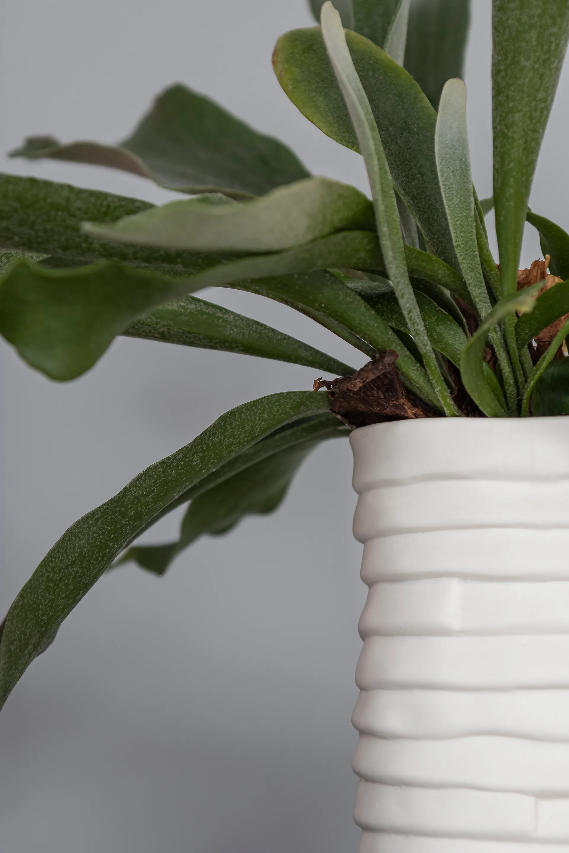 Ribbon wazon large 20 cm, Off-white Mette Ditmer