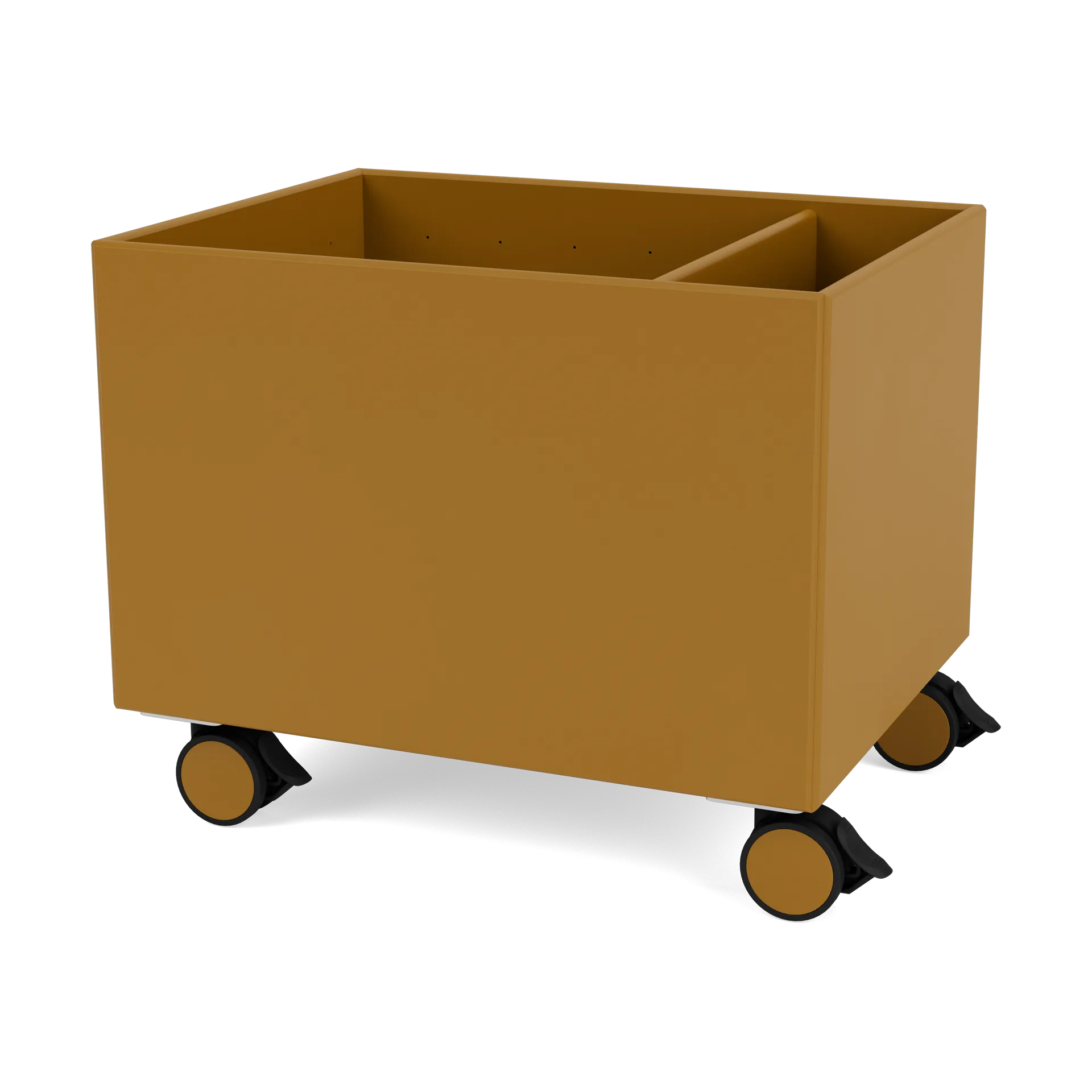 Colour Box II, Amber Montana