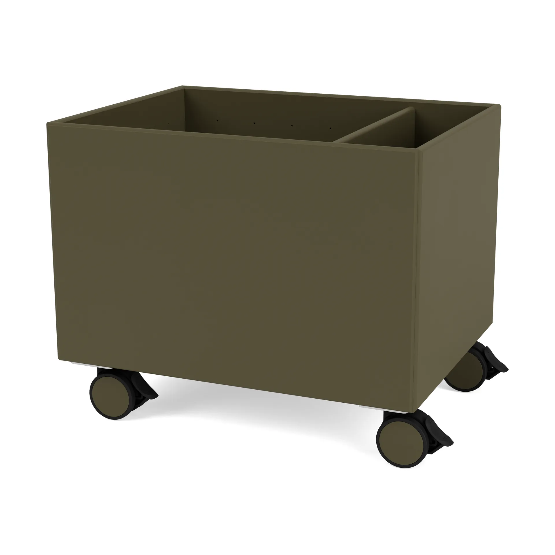 Colour Box II, Oregano Montana