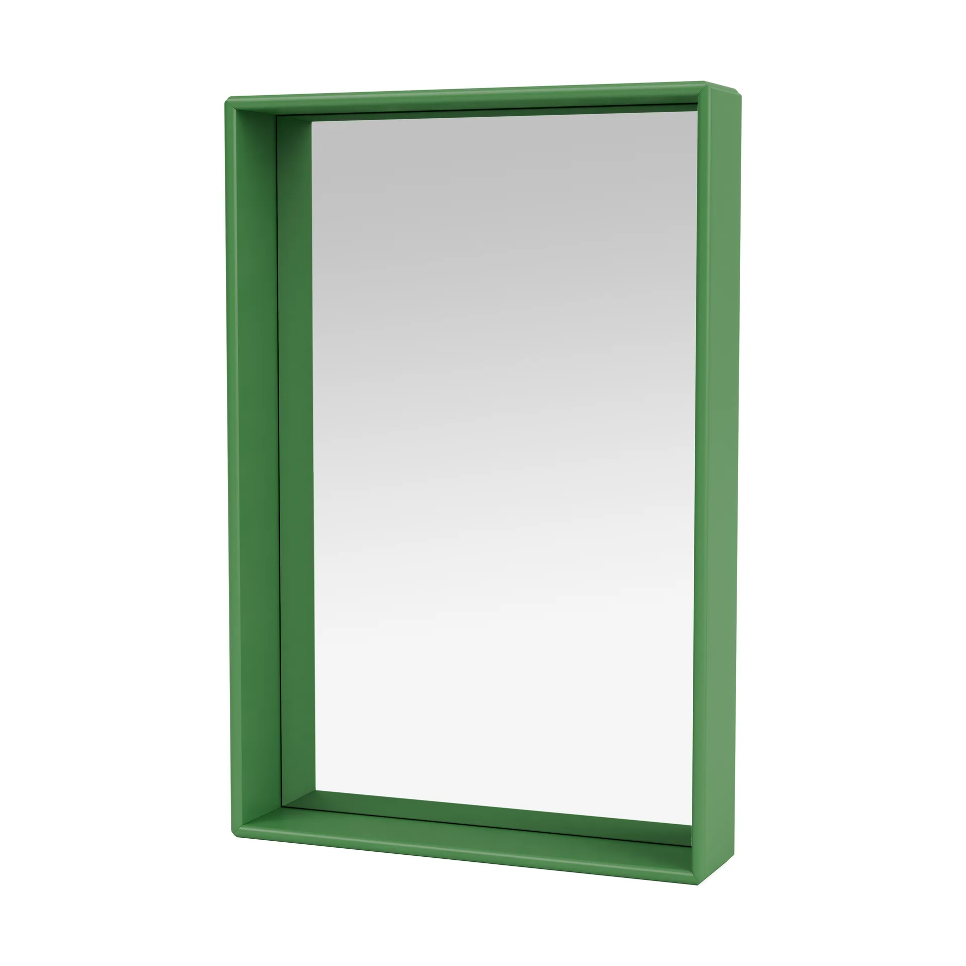 Shelfie colour frame lustro 46,8x69,6 cm, Parsley Montana