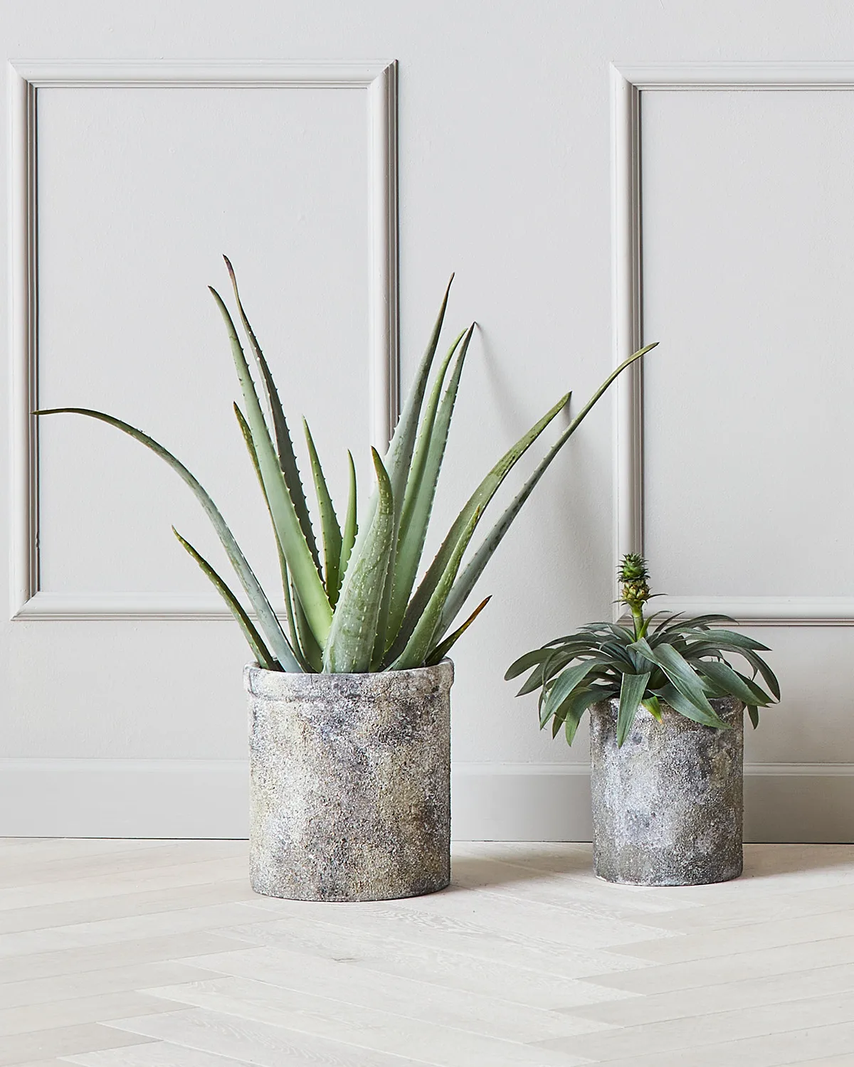 Doniczka Treasure zestaw składający się z 2 sztuk, Ø18 i Ø23 cm MUUBS