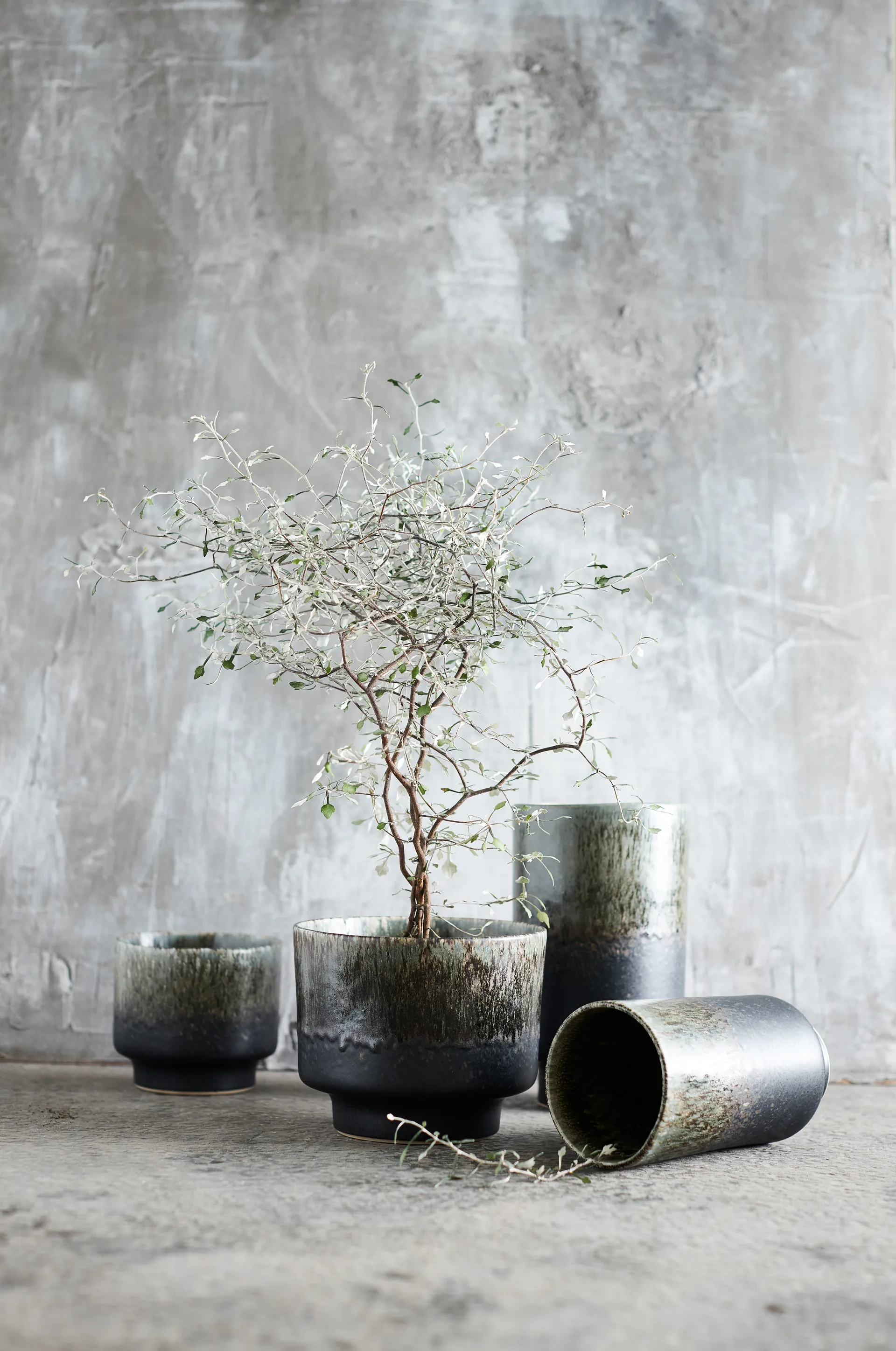 Słoik Lago S Ø12,5x11 cm, Forest green MUUBS