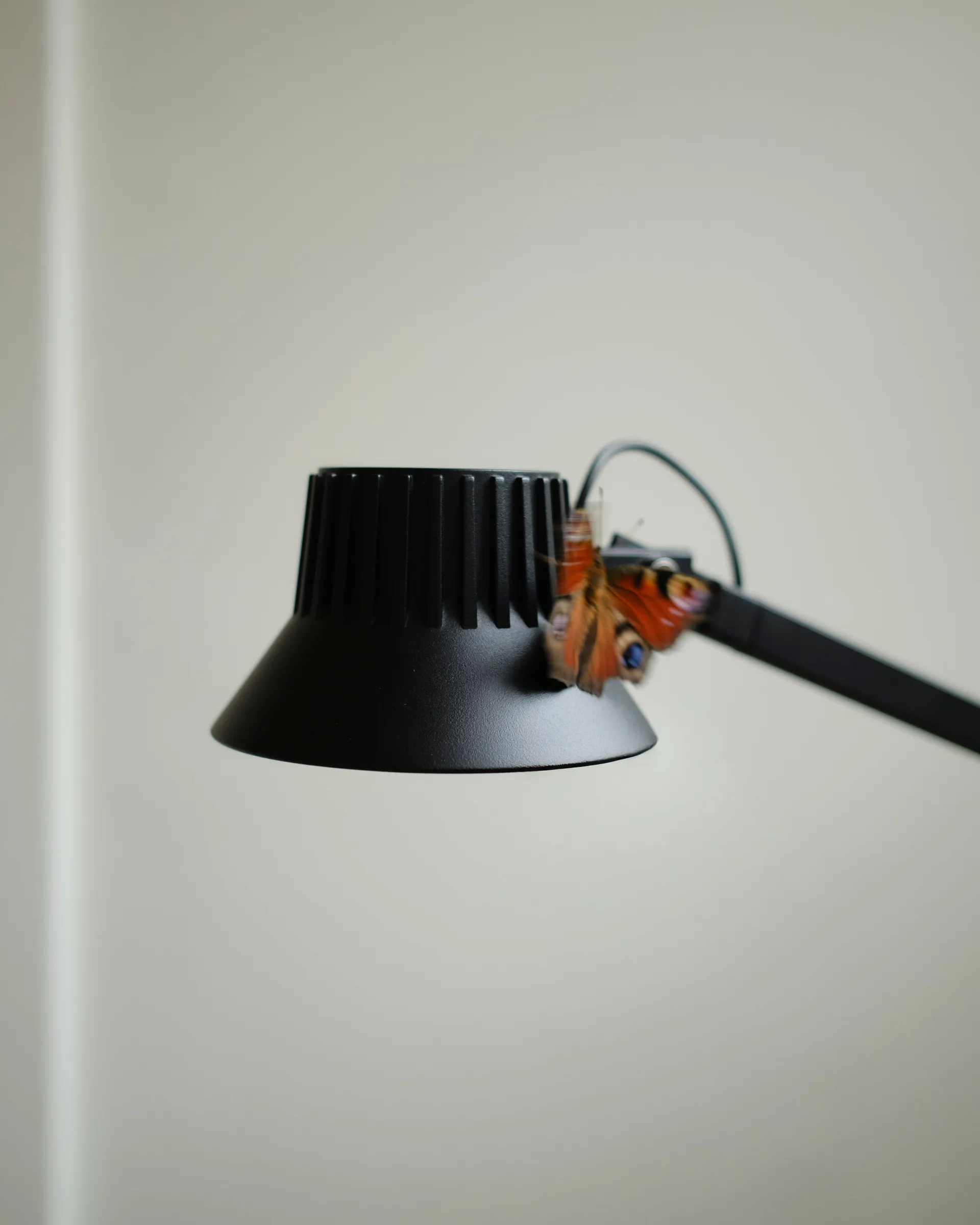 Lampa podłogowa Dedicate, Black, 112 cm Muuto