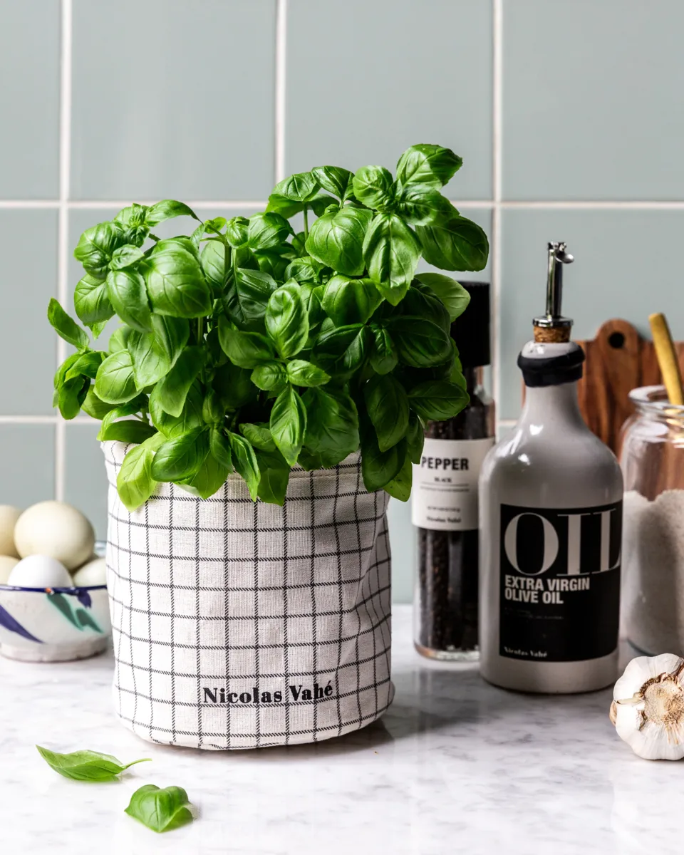 Kosz na przechowywanie Basket, Szary Nicolas Vahé