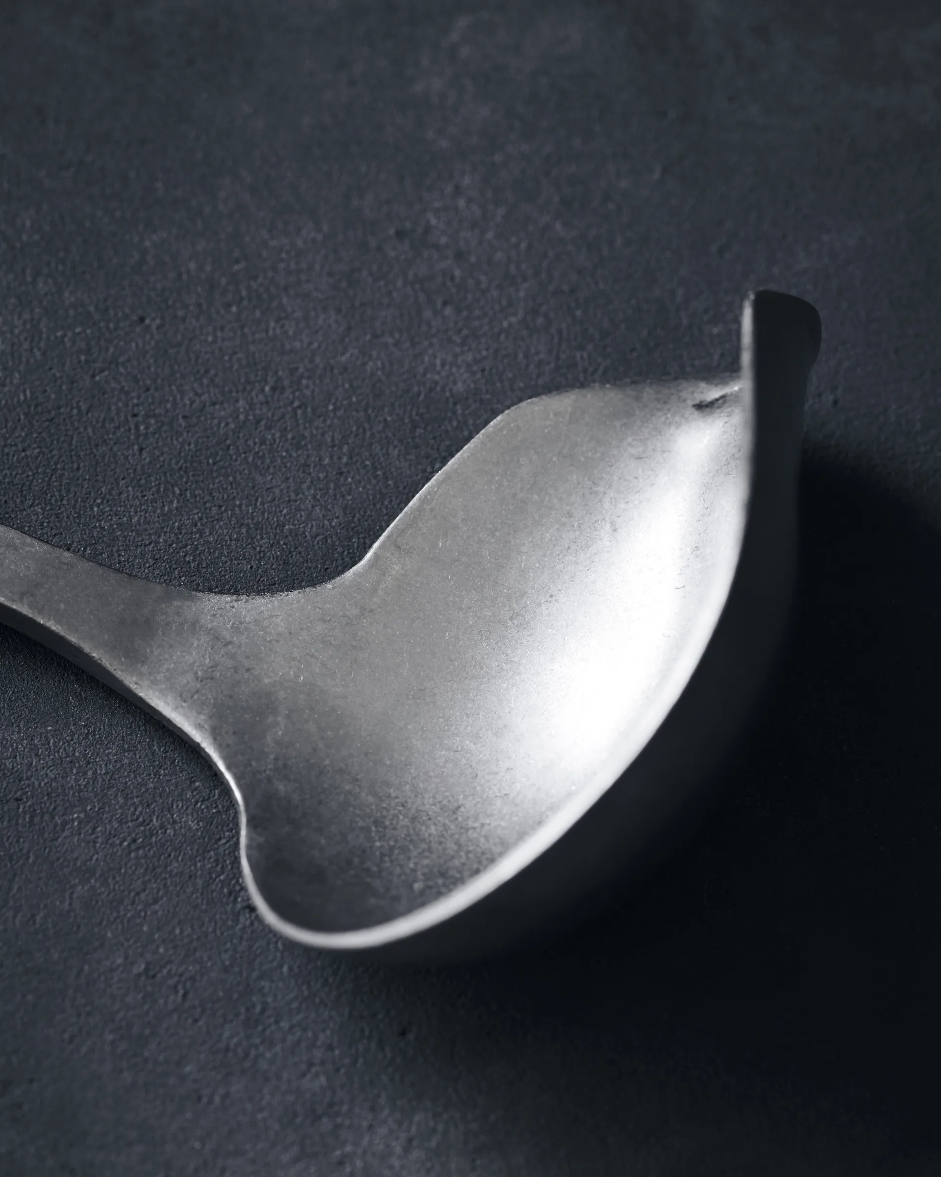 Nicolas Vahé Daily łyżka do sosu stal nierdzewna, 25 cm Nicolas Vahé