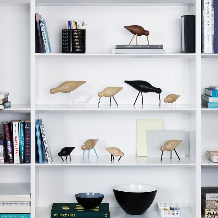 Shorebird orzech-mosiądz, średni Normann Copenhagen