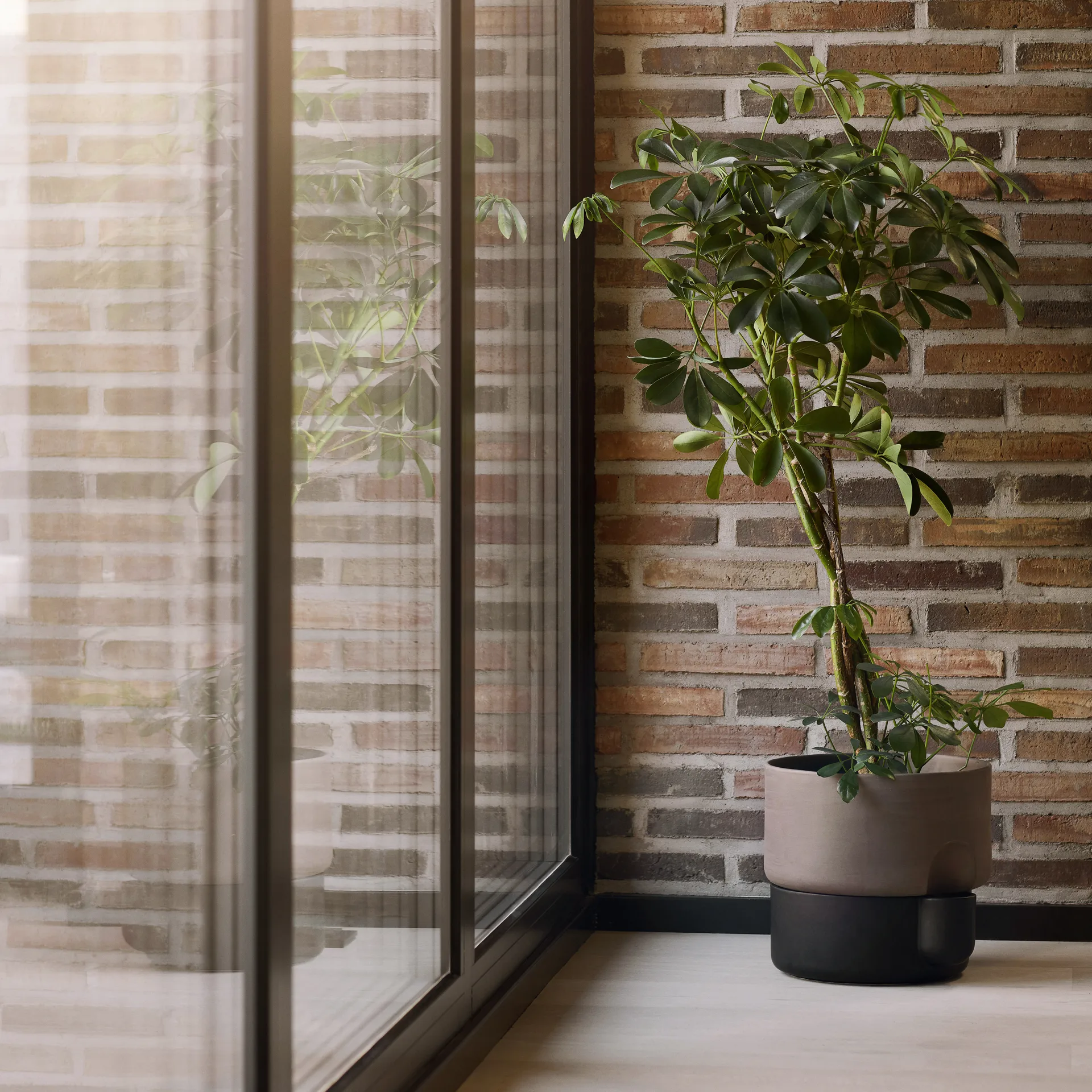 Oasis doniczka samonawadniająca duża Ø27.5 cm, Ciemny brąz Northern