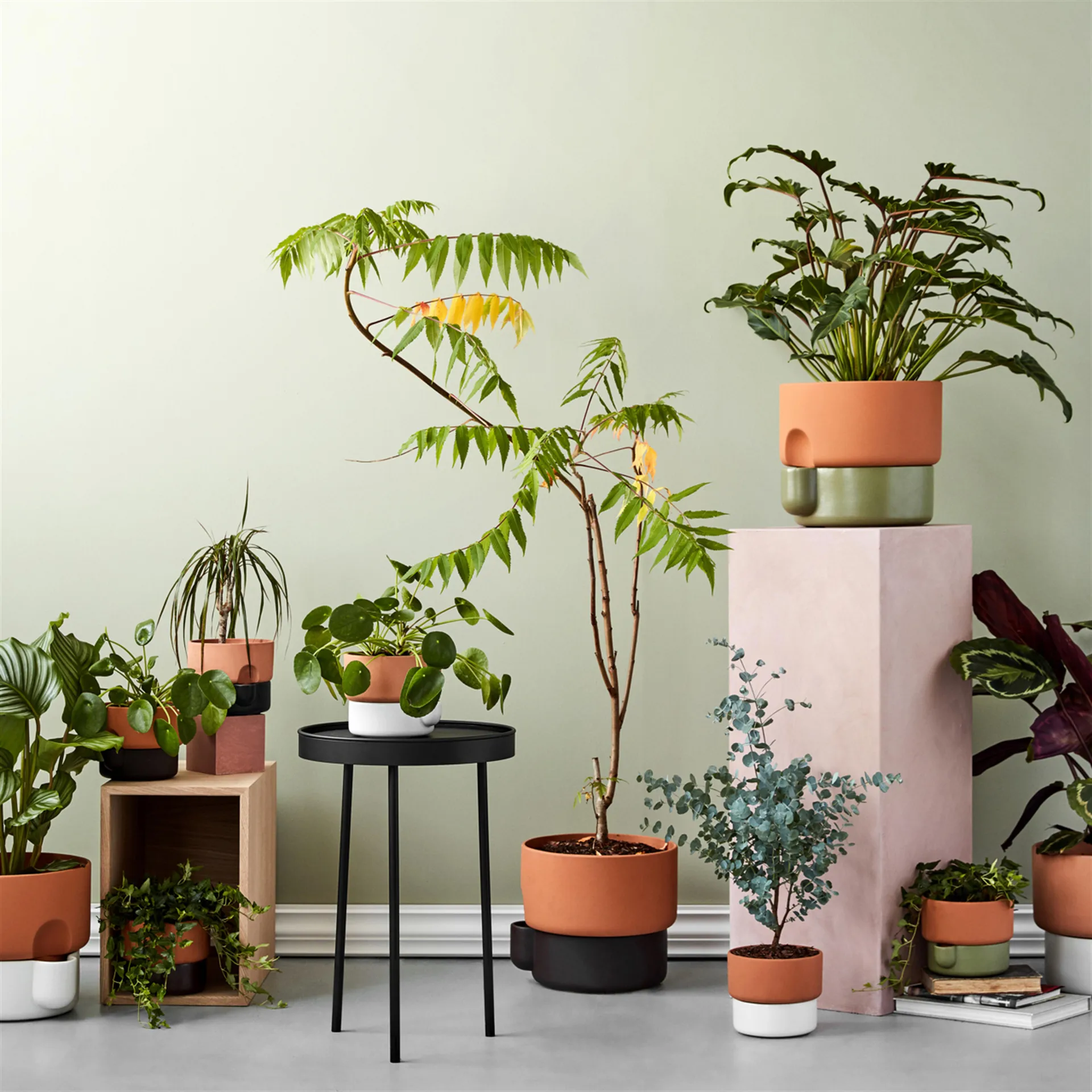 Oasis doniczka samonawadniająca duża Ø27.5 cm, Terakota-czarna Northern
