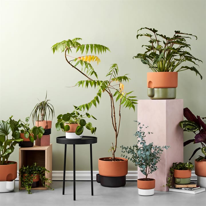 Oasis doniczka samonawadniająca duża Ø27.5 cm, Terakota-czarna Northern