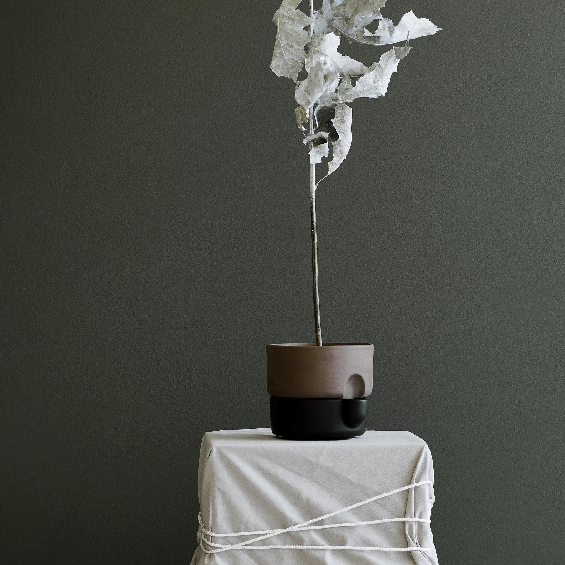 Oasis doniczka samonawadniająca mała Ø15 cm, Czarny Northern