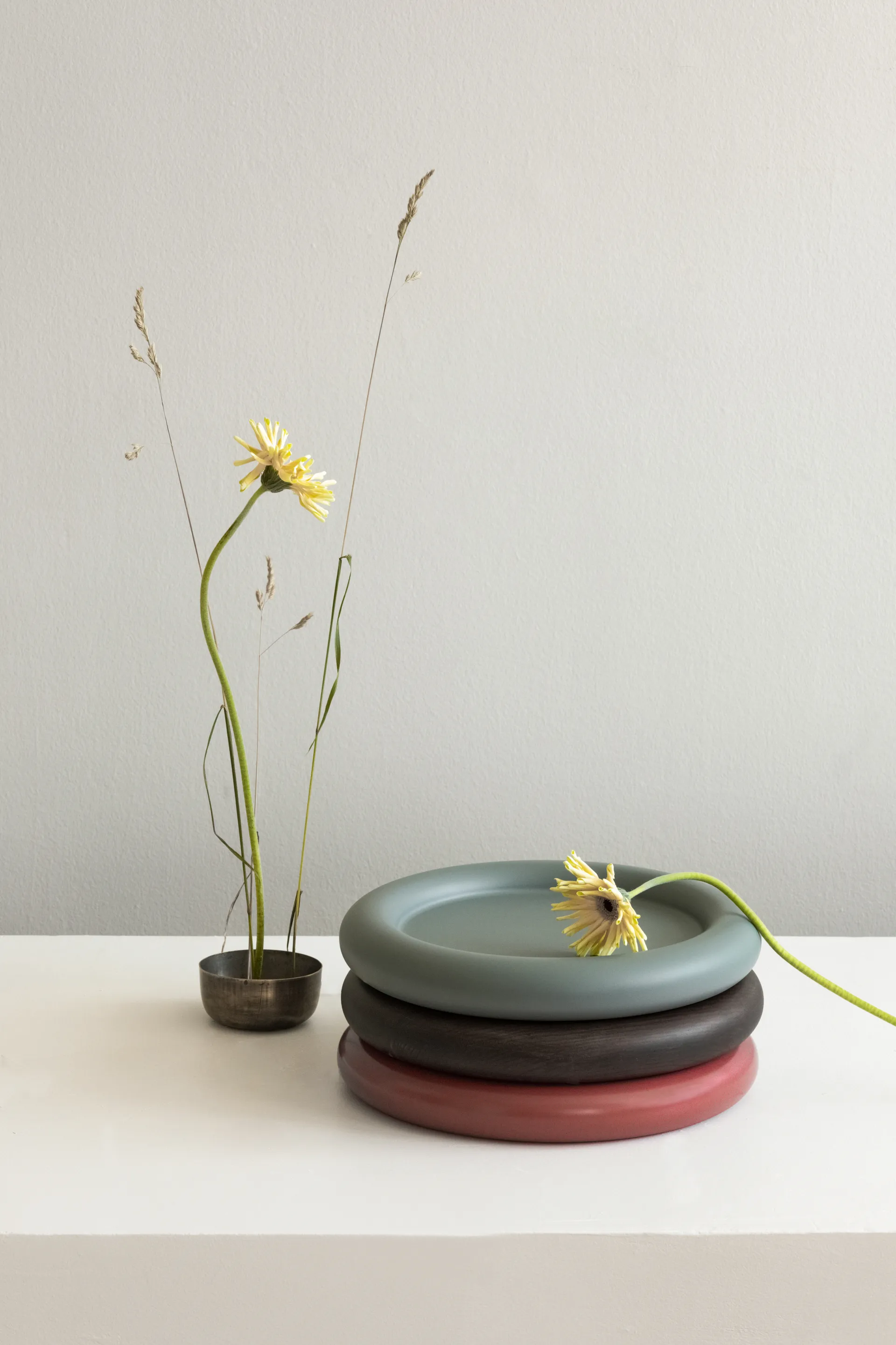 Taca Observe Ø32 cm, Czerwony koralowy Northern