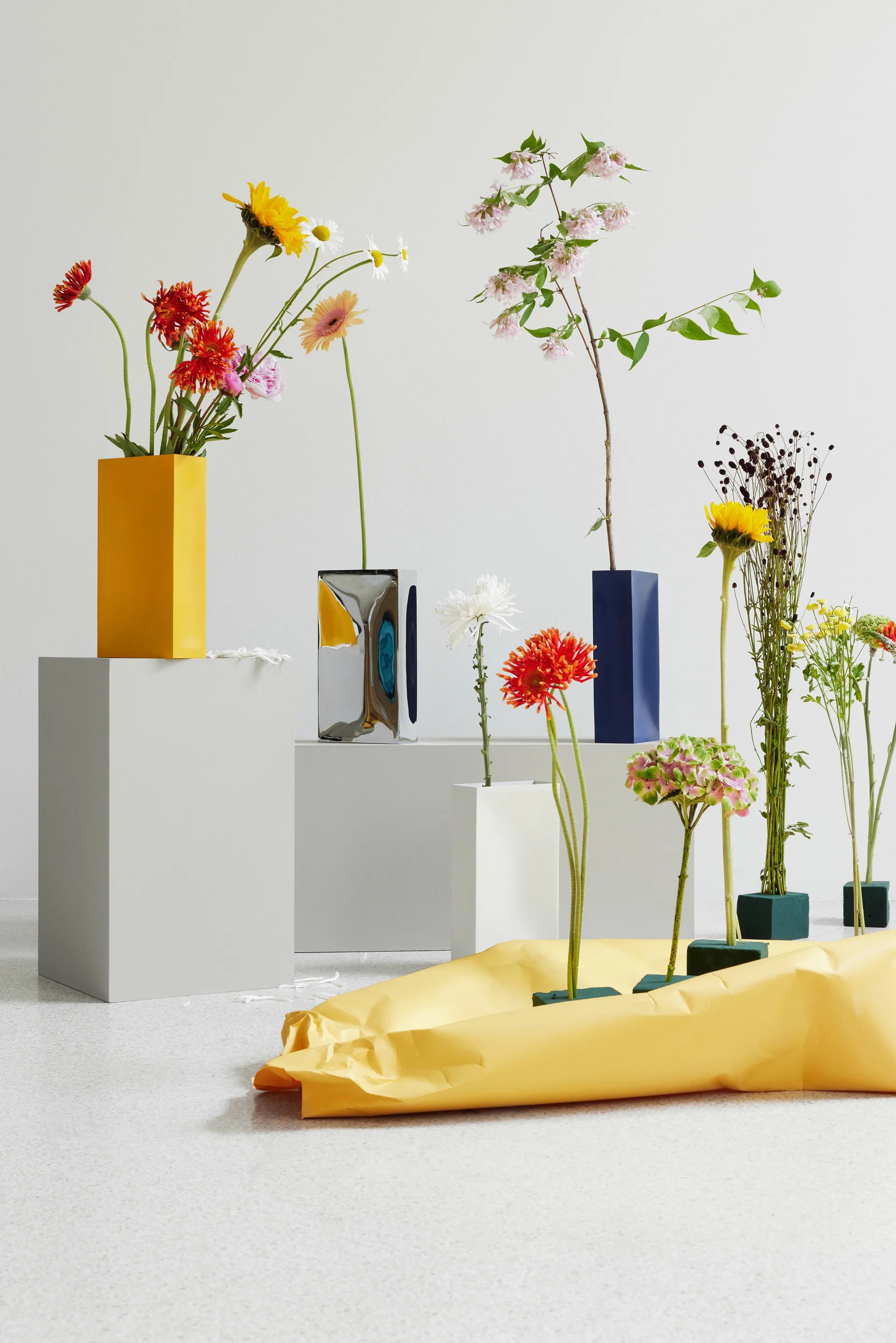 Wazon Into, Mirror Northern