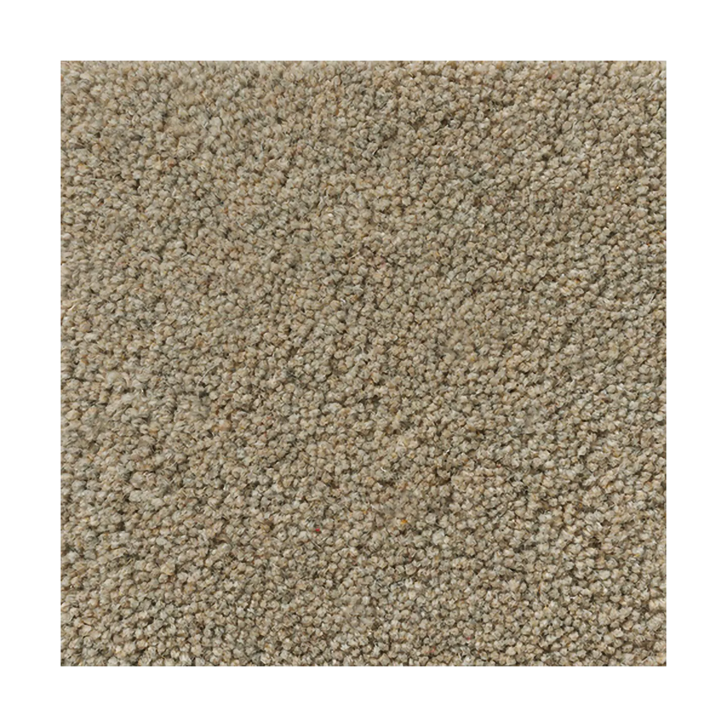 Dywan wełniany ODC Vega Natural, NW108, 200x300 cm Ogeborg