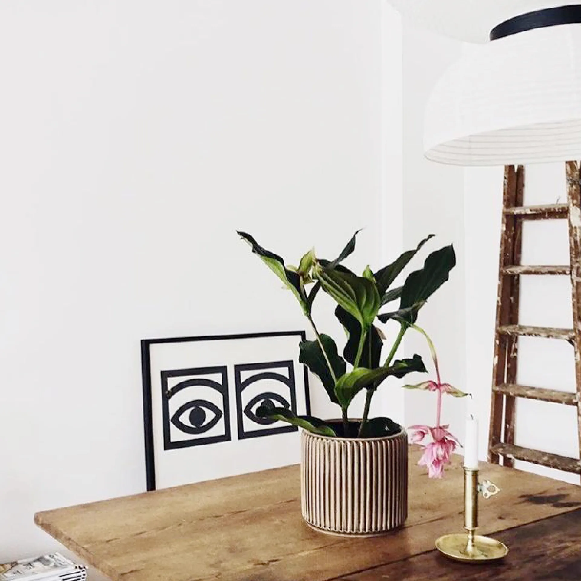 Plakat Ögon - 1 para oczu , 70x100 cm Olle Eksell