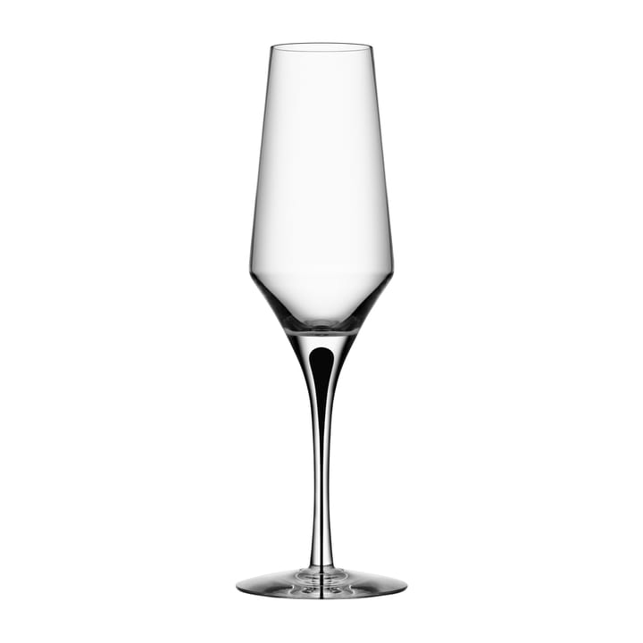 Kieliszek do szampana Metropol 27 cl, Clear / Black Orrefors