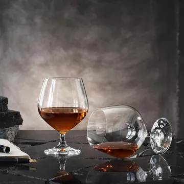 Kieliszki do koniaku Cognac Prestige 4 szt. - 500 ml - Orrefors
