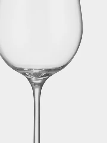 Kieliszki do szampana Orrefors x Björn Frantzén 2 szt. - 280 ml - Orrefors