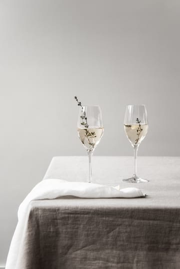 Sense - kieliszki do szampana 25,5 cl, 6-pak - Przezroczysty - Orrefors