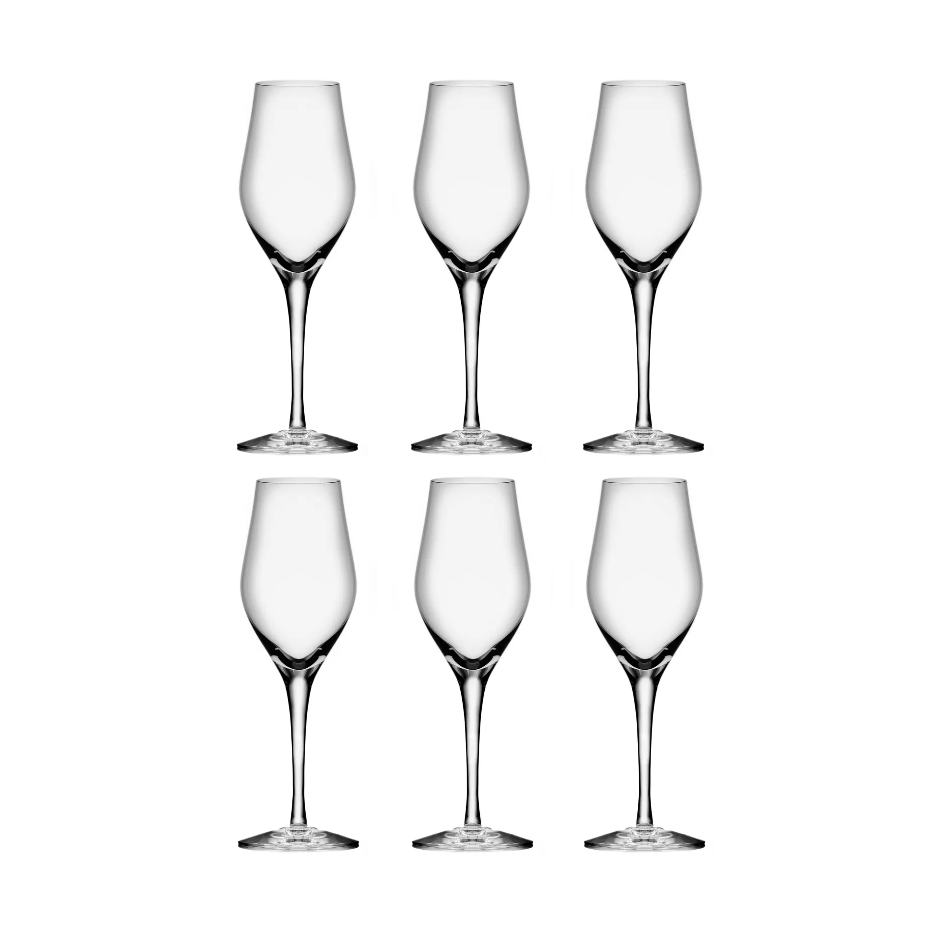 Sense kieliszki do szampana 255 ml, 6‑pak, Przezroczysty Orrefors