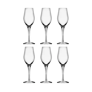 Sense kieliszki do szampana 255 ml, 6‑pak - Przezroczysty - Orrefors