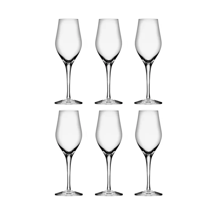 Sense kieliszki do szampana 255 ml, 6‑pak - Przezroczysty - Orrefors