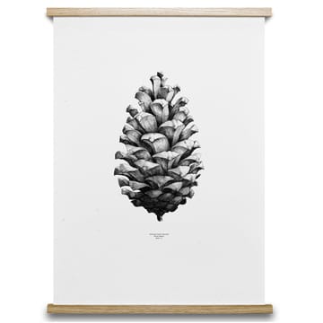 1:1 Pine Cone plakat - biały, 50x70 cm - Paper Collective