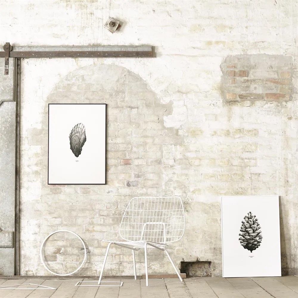 1:1 Pine Cone plakat, biały, 50x70 cm Paper Collective