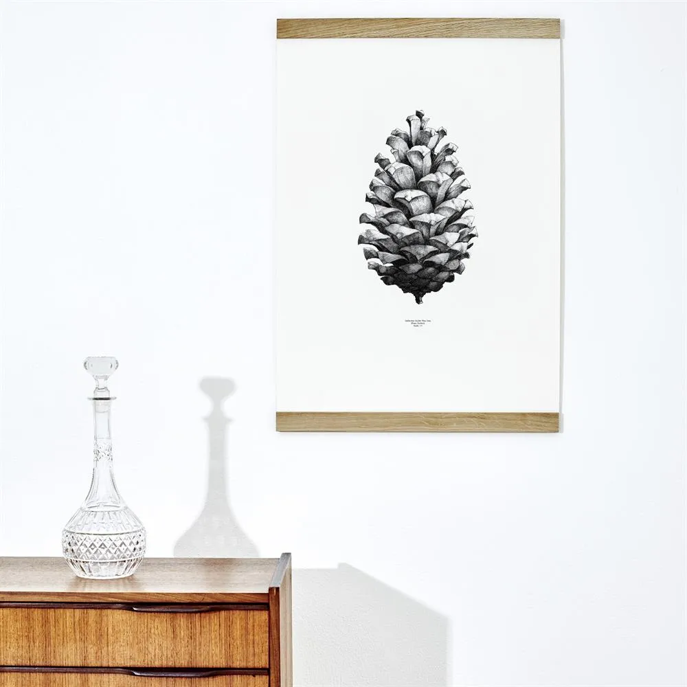 1:1 Pine Cone plakat, biały, 50x70 cm Paper Collective